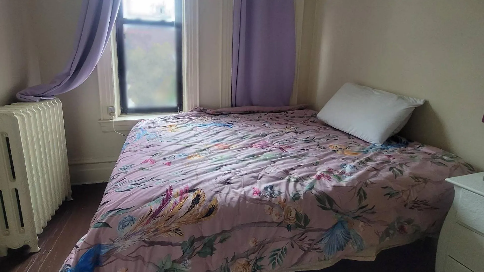 Stay In Historic Brooklyn Townhouse نيو يورك منزل للإقامة